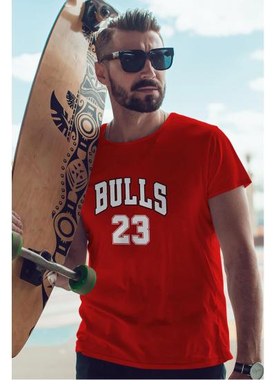 Air Jordan 25 Kırmızı NBA Erkek Tshirt - Tişört