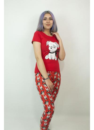 Kadın Teknur Baskılı Taytlı Pijama Takımı Kırmızı